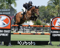 jumper Habab-W (KWPN (Royal Dutch Sporthorse), 2012, from Nabab de Rêve)