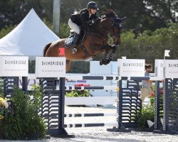 broodmare Conthagnia Blue (Oldenburg show jumper, 2012, from Conthargos)