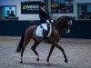 dressage horse Feuerherz 4 (Westphalian, 2015, from Farrell)