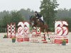 jumper Sam's Flying Dream (Swedish Warmblood, 2018, from Sam R)