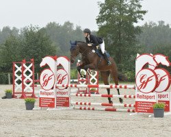 jumper Sam's Flying Dream (Swedish Warmblood, 2018, from Sam R)