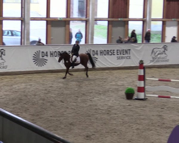 Reitturnier Prussendorf 2023