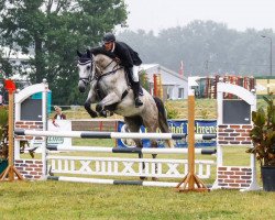 jumper Cuba Libre P (German Sport Horse, 2010, from Coester 4)