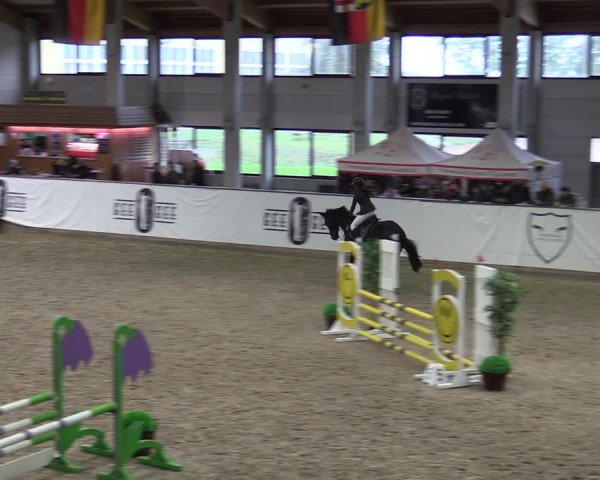 Reitturnier Prussendorf 2023