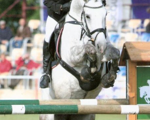 broodmare Antonia 121 (German Sport Horse, 2002, from Askari)