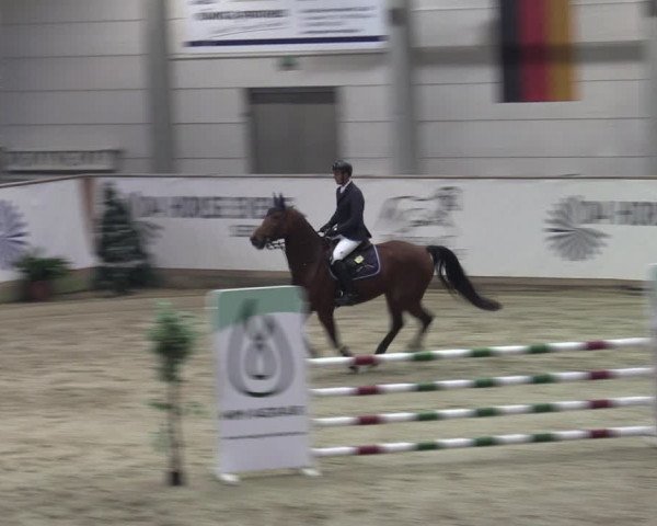 Reitturnier Prussendorf 2023