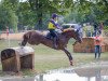 Springpferd Jana Sz CH (Schweizer Warmblut, 2004, von Ideal du Pichoux)