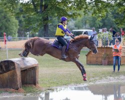 Springpferd Jana Sz CH (Schweizer Warmblut, 2004, von Ideal du Pichoux)