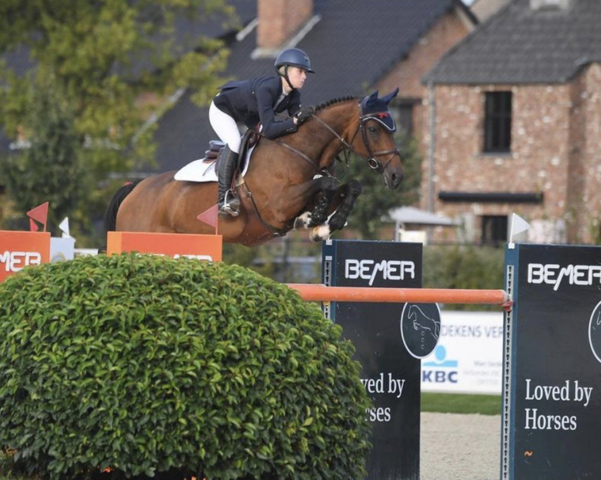 jumper Macarena 42 (Oldenburg, 2014, from Monte Bellini)