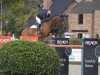 jumper Macarena 42 (Danish Warmblood, 2014, from Monte Bellini)