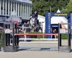 stallion Neron (KWPN (Royal Dutch Sporthorse), 2018, from Cornet Obolensky)