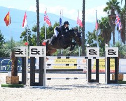 jumper Cornet's Pezi (Oldenburg show jumper, 2015, from Cornet Obolensky)