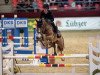 broodmare Cremona 29 (German Sport Horse, 2011, from Carrico)