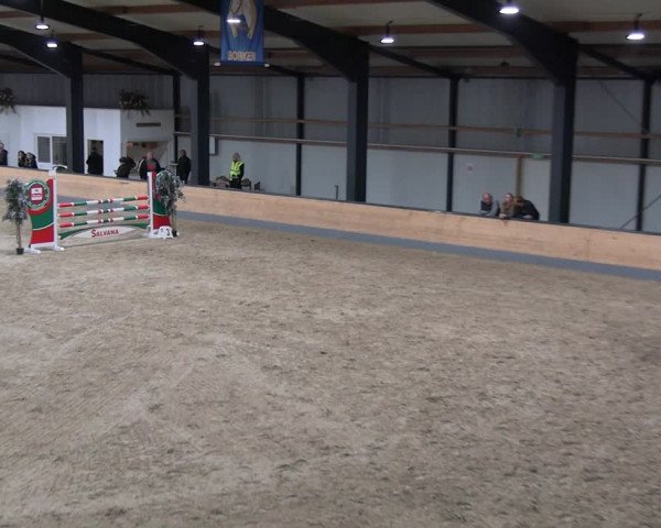Reitturnier Borken 2023
