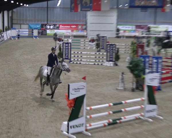 Reitturnier Borken 2023