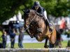 jumper Fuzhou (KWPN (Royal Dutch Sporthorse), 2010, from VDL Harley)