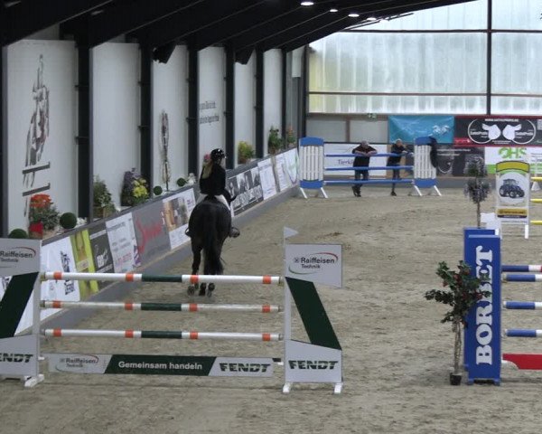 Reitturnier Borken 2023