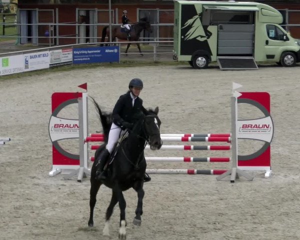 Reitturnier Achern 2023