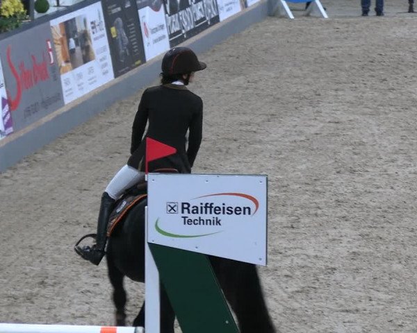 Reitturnier Borken 2023