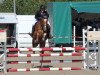 jumper Darwin von der Bullermühle (German Riding Pony, 2019, from Don Dino L)