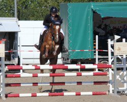 jumper Darwin von der Bullermühle (German Riding Pony, 2019, from Don Dino L)