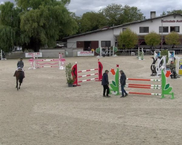 Reitturnier Achern 2023
