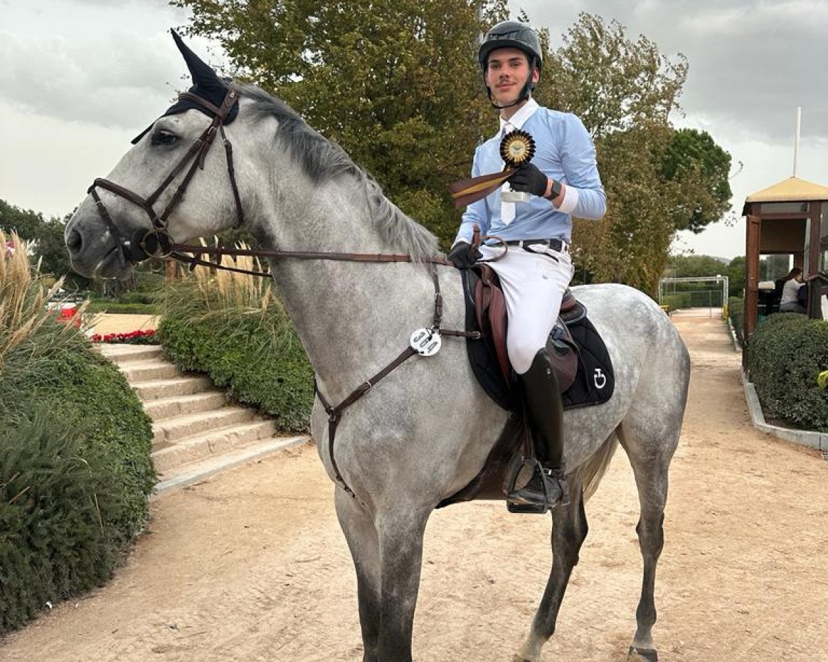 jumper Macho Ddh (KWPN (Royal Dutch Sporthorse), 2017, from Ubama)