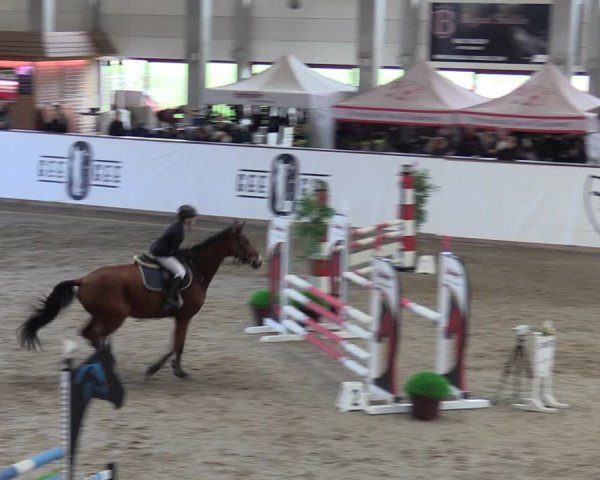 Reitturnier Prussendorf 2023