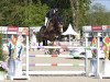 jumper Cartino (Oldenburg show jumper, 2013, from Cartogran)