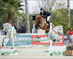 jumper Imagine H (KWPN (Royal Dutch Sporthorse), 2013, from Etoulon VDL)