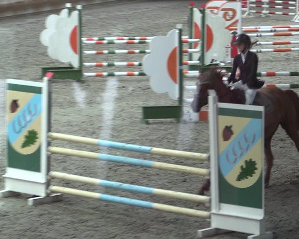 Reitturnier Tremsdorf, Eichenhof 2023