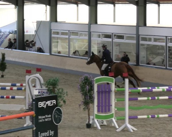 Reitturnier Borken 2023