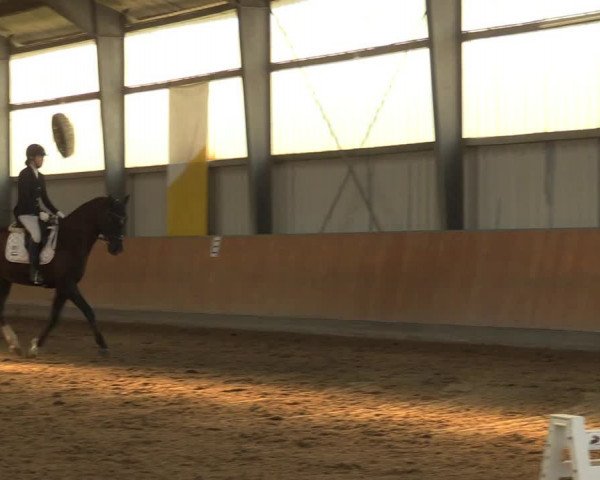 Reitturnier Frechen-Grefrath - Sonnenhof 2023