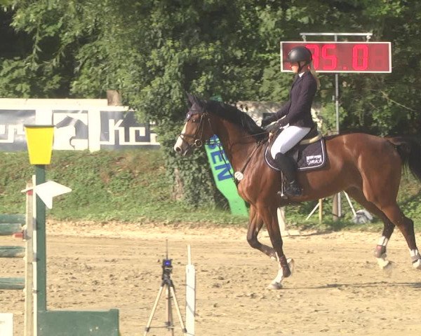 Springturnier Walldorf/Winterheck 2021