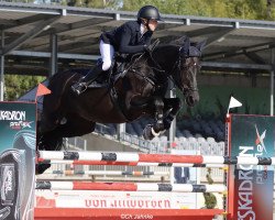 jumper Carla L (Hanoverian, 2005, from Champion For Pleasure)