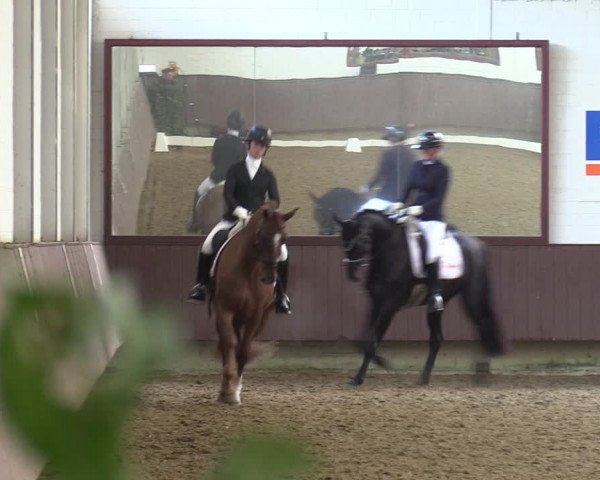 Reitturnier Lembeck-RA Elwermann 2023