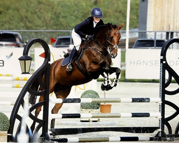 jumper Hüpen's Destiny Child (Oldenburg show jumper, 2018, from Dutch Capitol)