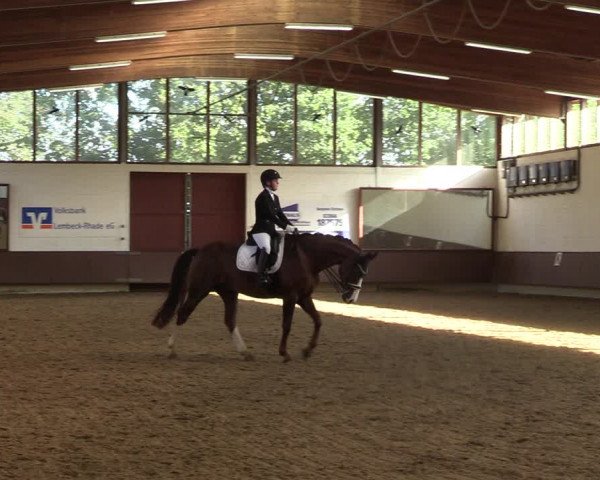 Reitturnier Lembeck-RA Elwermann 2023