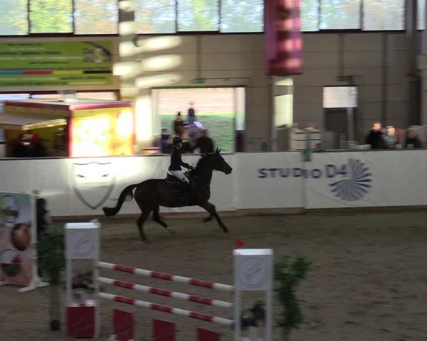 Reitturnier Prussendorf 2023
