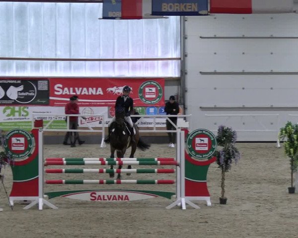 Reitturnier Borken 2023