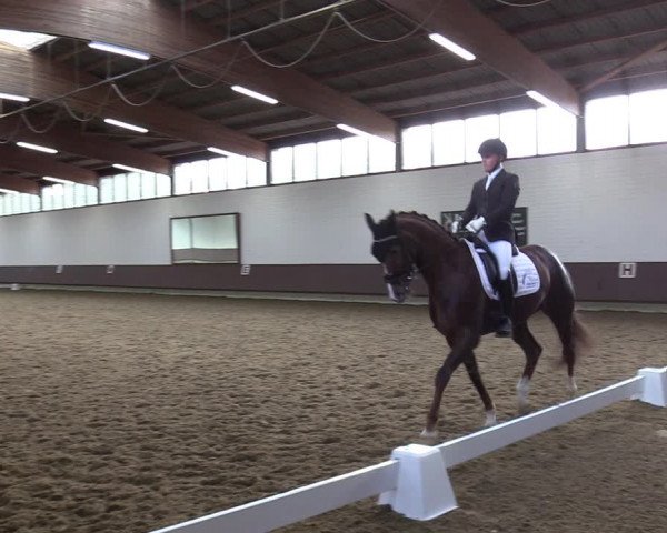 Reitturnier Lembeck-RA Elwermann 2023