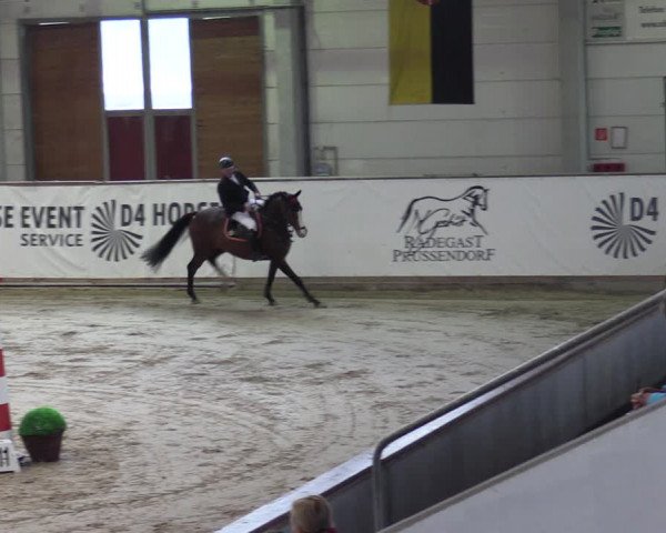 Reitturnier Prussendorf 2023