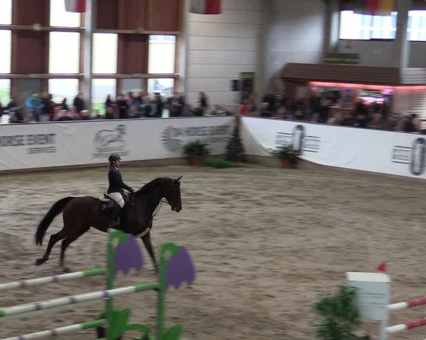 Reitturnier Prussendorf 2023