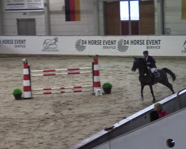 Reitturnier Prussendorf 2023