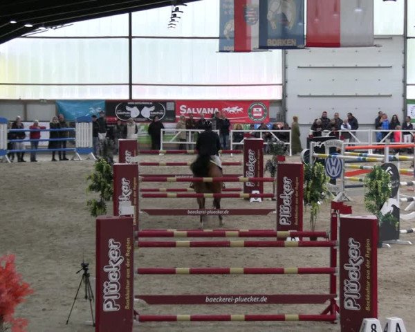 Reitturnier Borken 2023