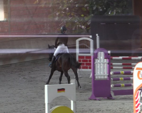 Reitturnier Tremsdorf, Eichenhof 2023