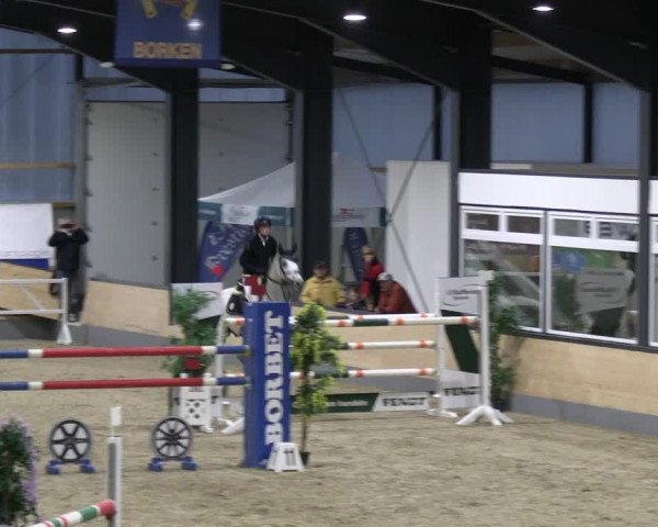 Reitturnier Borken 2023