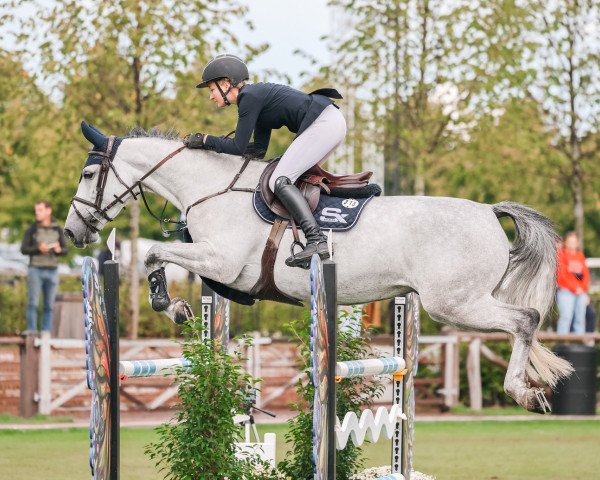 Springpferd Eden Jeleena Dr Z (Zangersheide Reitpferd, 2016, von Elvis Ter Putte)