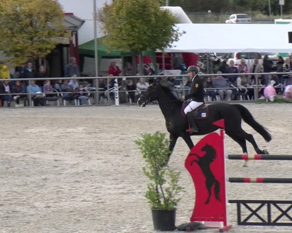Reitturnier Achern 2023