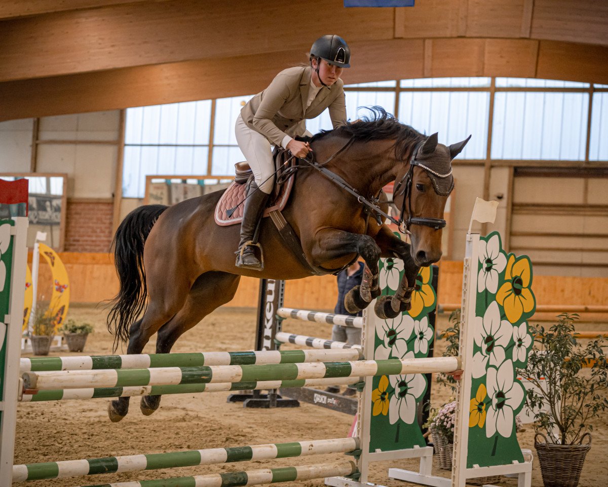 jumper Fancy Girl H (Hanoverian, 2016, from Flic Flac)